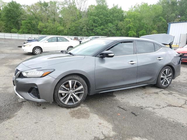 Nissan Maxima sv (2020)