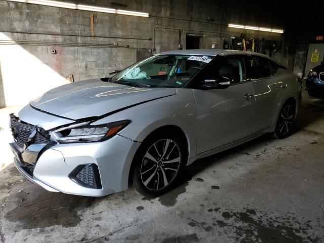 Nissan Maxima sv (2023)