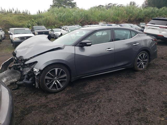 Nissan Maxima sv (2021)