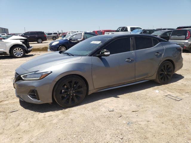Nissan Maxima sr (2023)