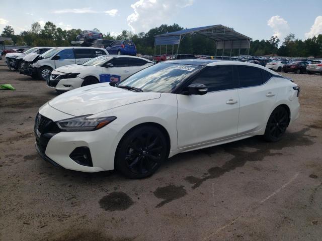 Nissan Maxima sr (2022)