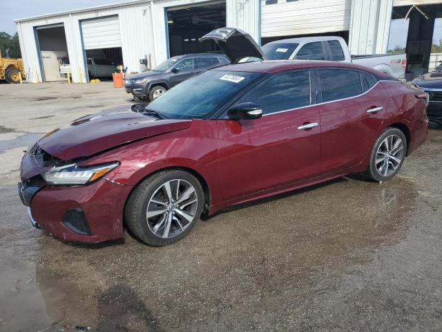 Nissan Maxima sv (2020)
