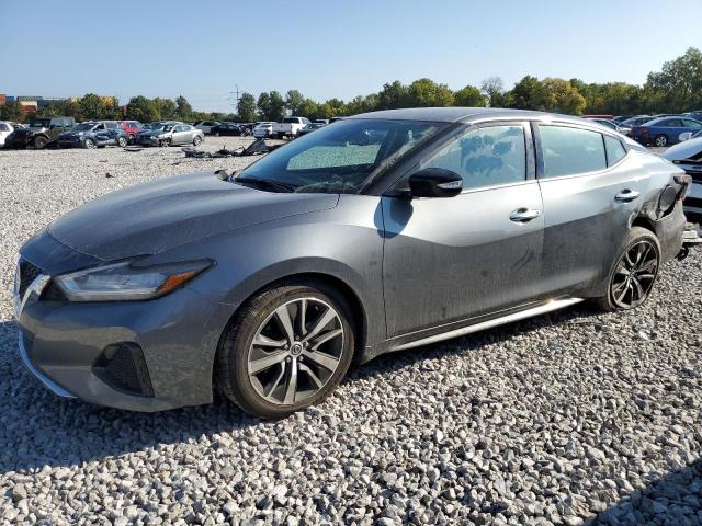 Nissan Maxima sv (2020)
