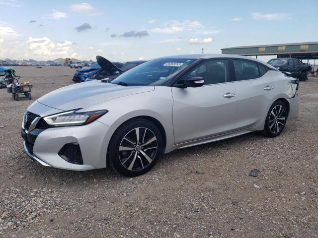Nissan Maxima sv (2021)