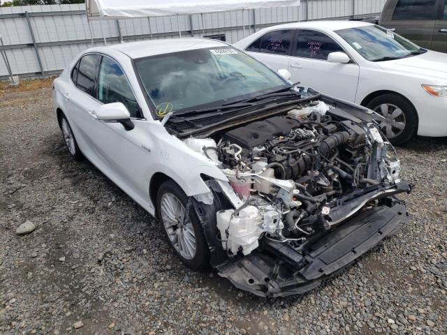 Toyota Camry hybr (2019)