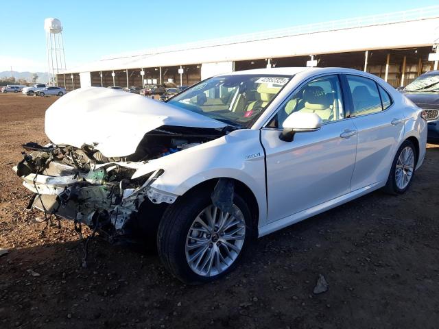 Toyota Camry hybr (2019)