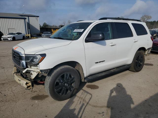 Toyota Sequoia sr (2019)