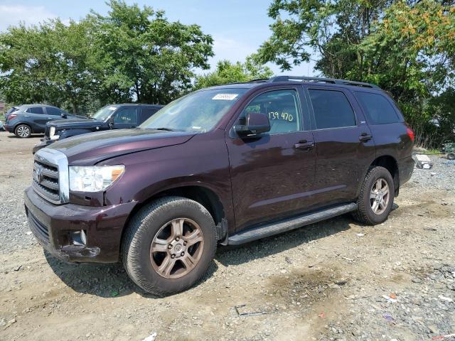 Toyota Sequoia sr (2017)