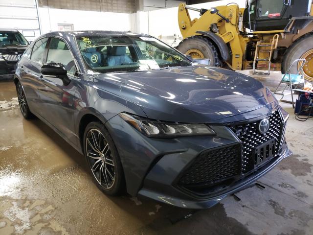 Toyota Avalon xle (2019)